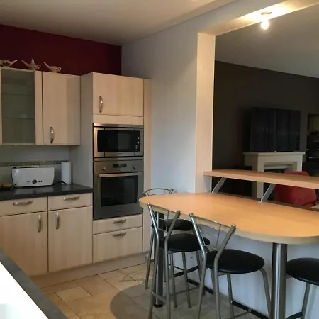 Spacieuse Avec Jardin, Proche Du Centre, Piscine Naturelle, Et Activites Au Mans - Fr-1-410-231